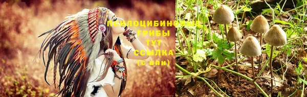 СК Липки